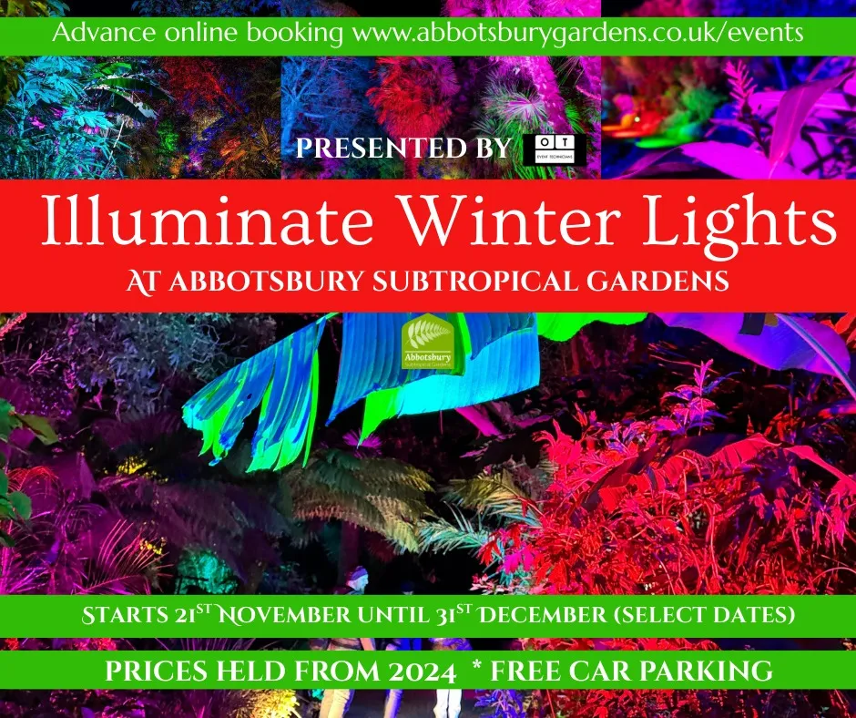 548953903 1224570929714159 8171962999605760711 N