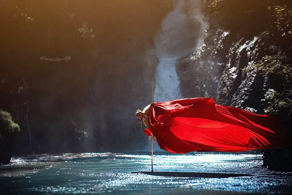 541236481 122173827968560432 7083299680024651454 N