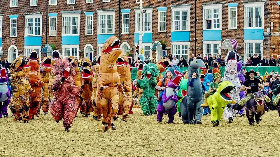 565155343 1146746904266664 8058693095343745508 N