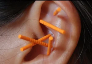 574349166 10163565627588739 2354105993629749829 N 1