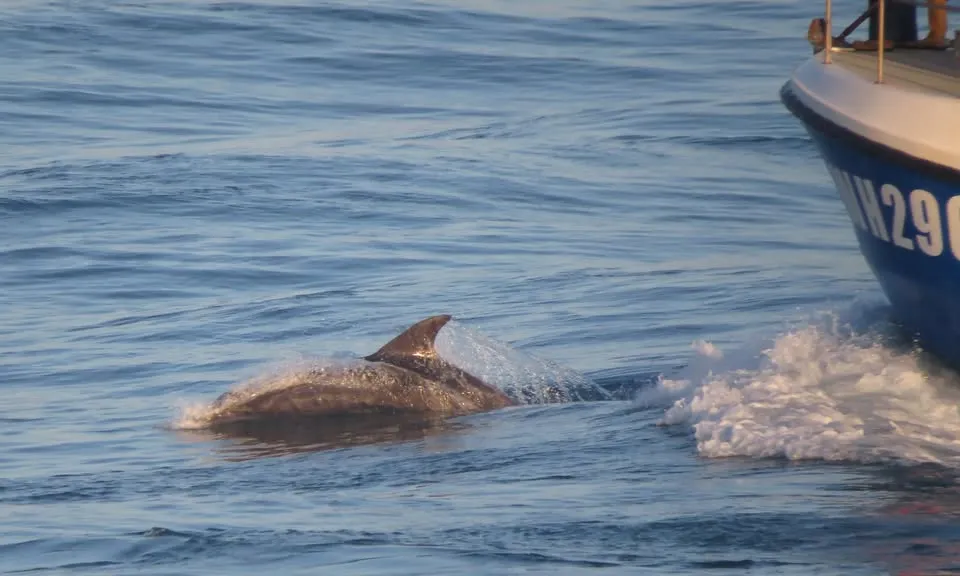 611783251 1294818169350078 4401985023544078782 N