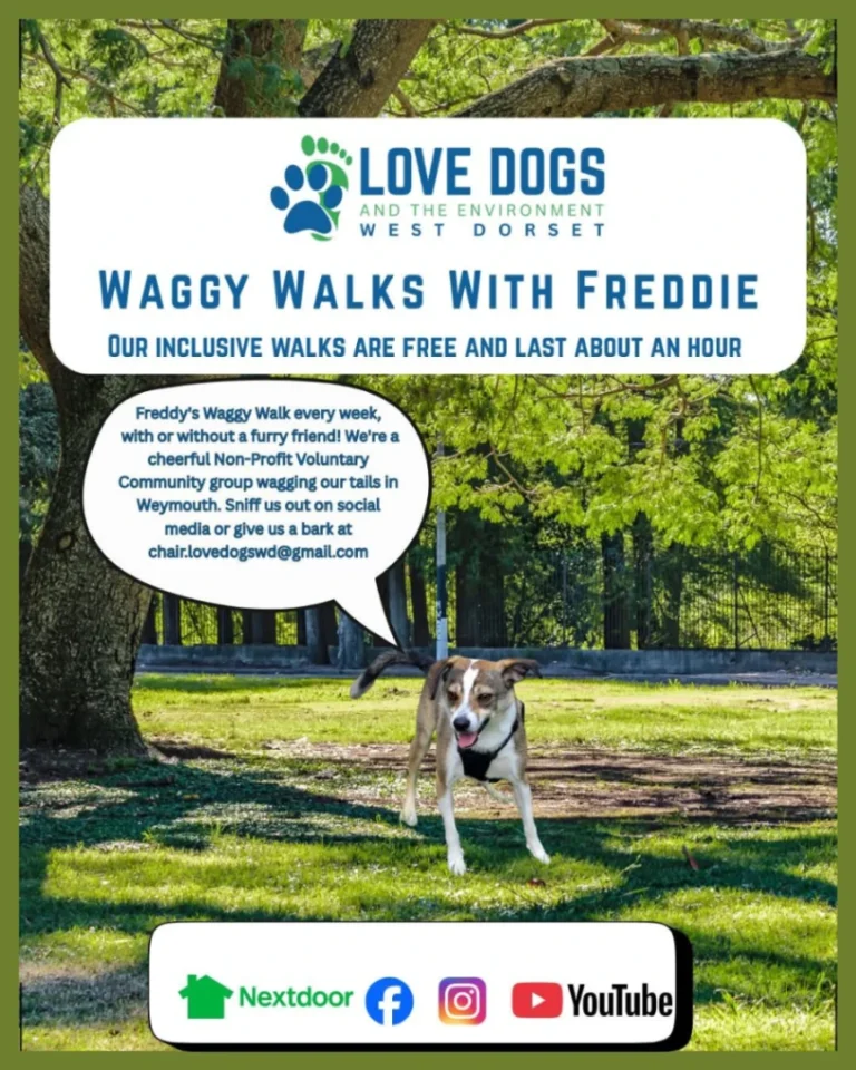 Inbound9012236272204137919