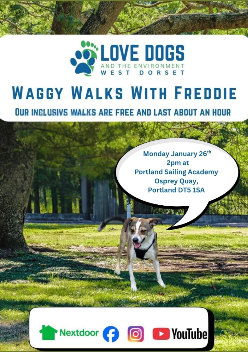 Waggy Walks With Freddie 1