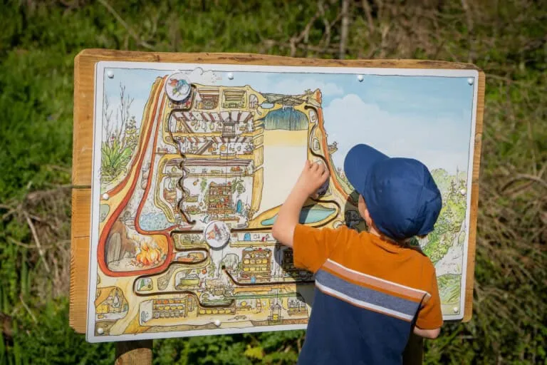 DSC05620 1 768x512 1