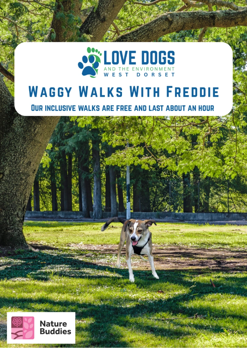 Love Dogs West Dorset Inclusive Waggy Walks With Freddie