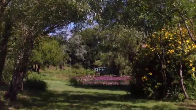 476951447 1132483168926038 5064039583317831977 N