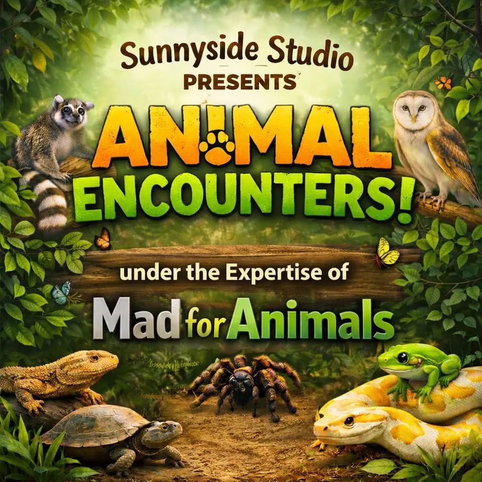 649697973 122127378555041132 884982399734065760 N