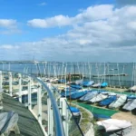 Castle Cove Sailing Club