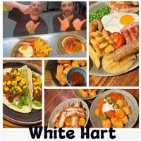 684442349 1766362251364398 35569721159464145 N