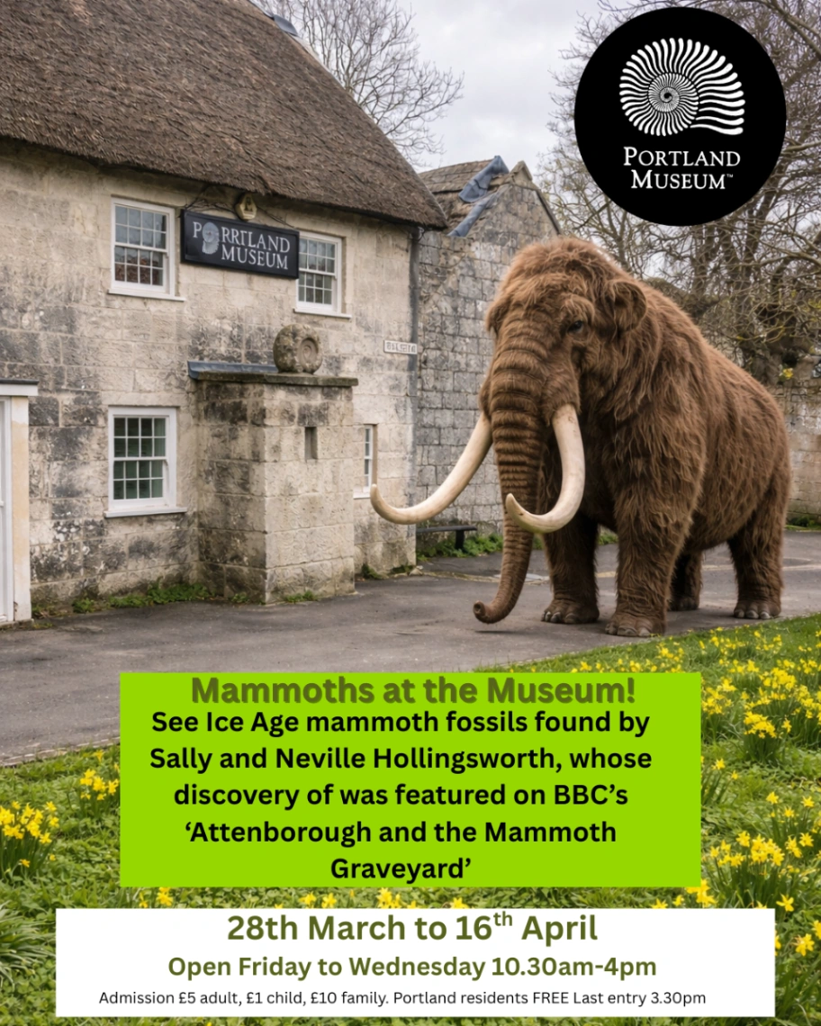 Mammoths At The Museum