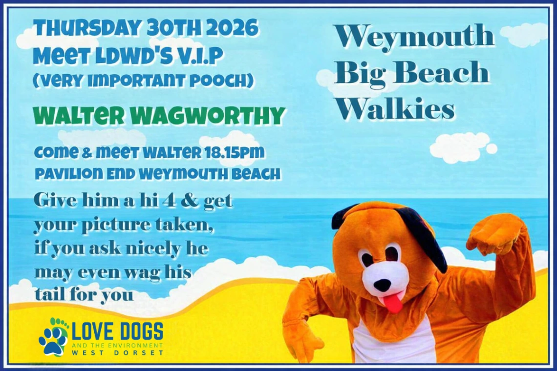 Weymouth Big Beach Walkies